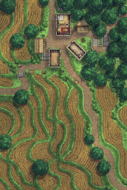 Terraced Rice Paddy Farm